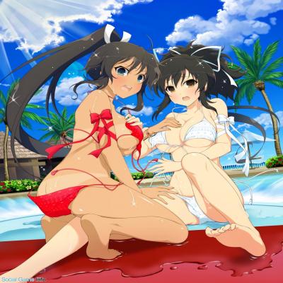 Senran Kagura Official Illustrations 5