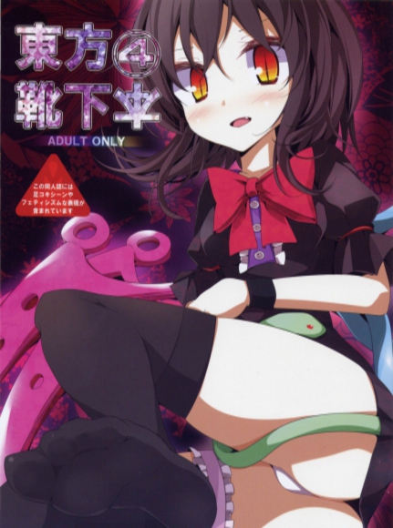 Touhou Socks Book 4