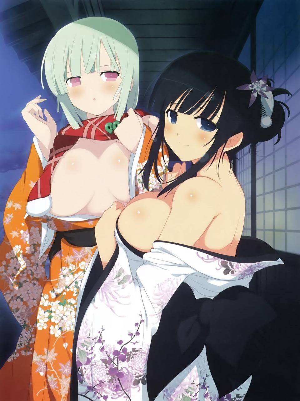 Senran Kagura Official Illustrations 1 - Photo #153