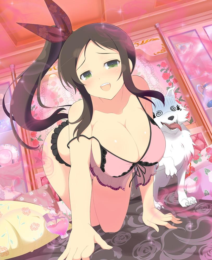 Senran Kagura Official Illustrations 3 - Photo #74