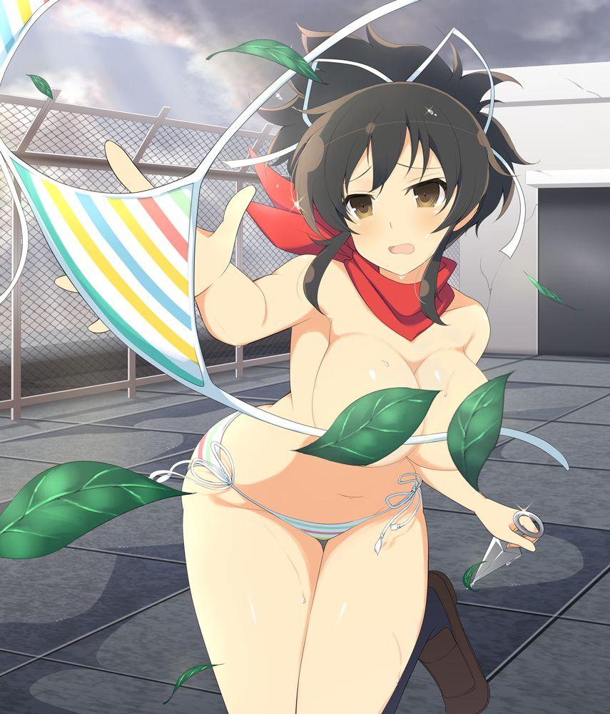 Senran Kagura Official Illustrations 3 - Photo #101