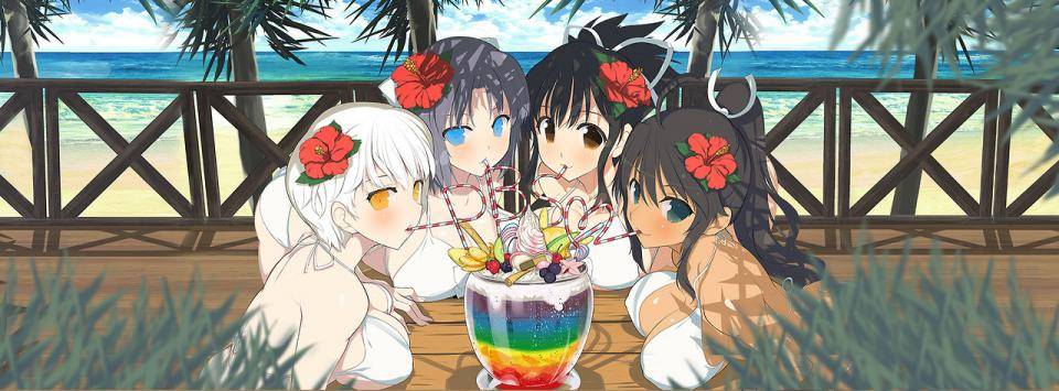 Senran Kagura Peach Beach Blast - Photo #3