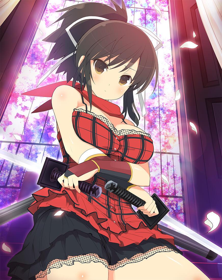 Senran Kagura Official Illustrations 5 - Photo #13