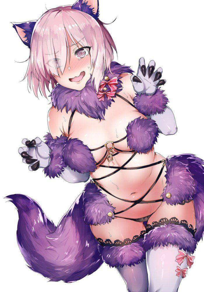 Mashu Kyrielite - Photo #394