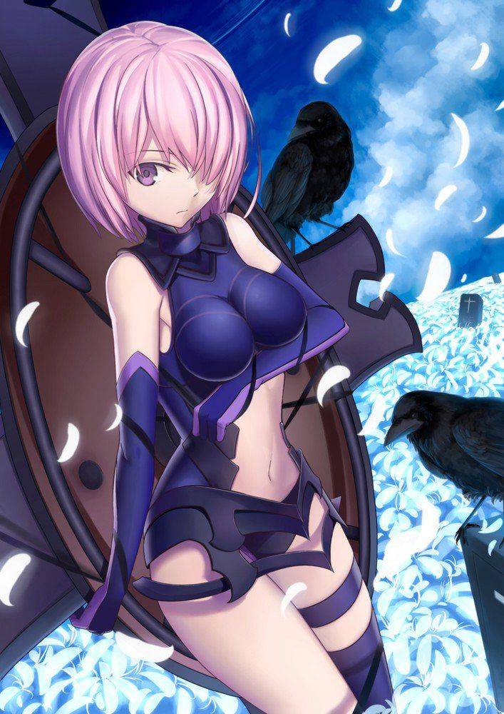 Mashu Kyrielite - Photo #395