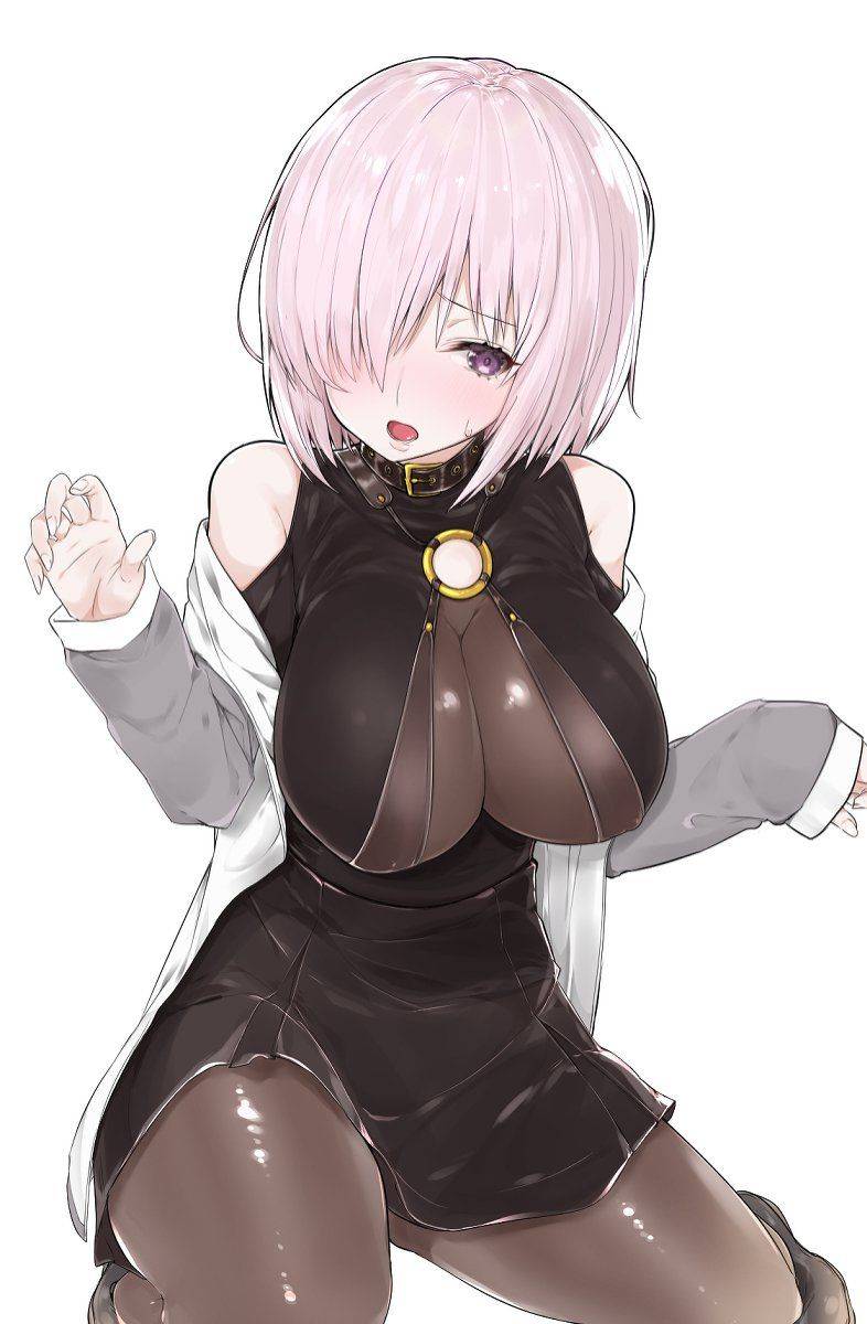 Mashu Kyrielite - Photo #425