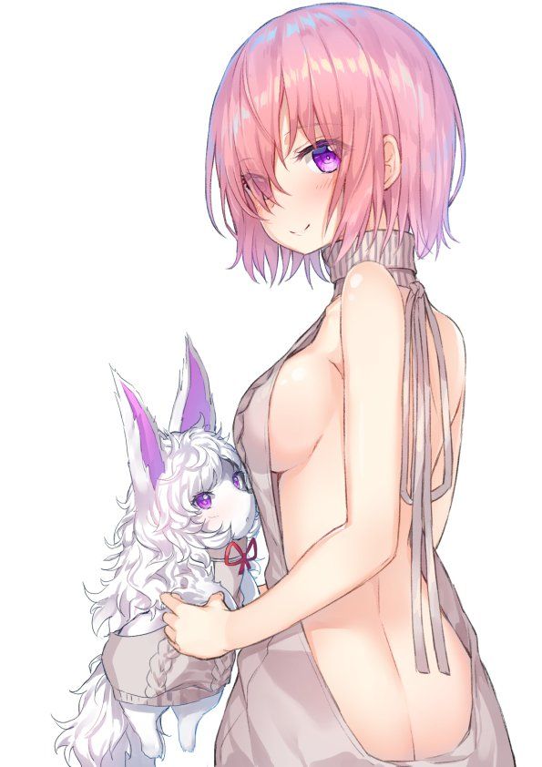 Mashu Kyrielite - Photo #448