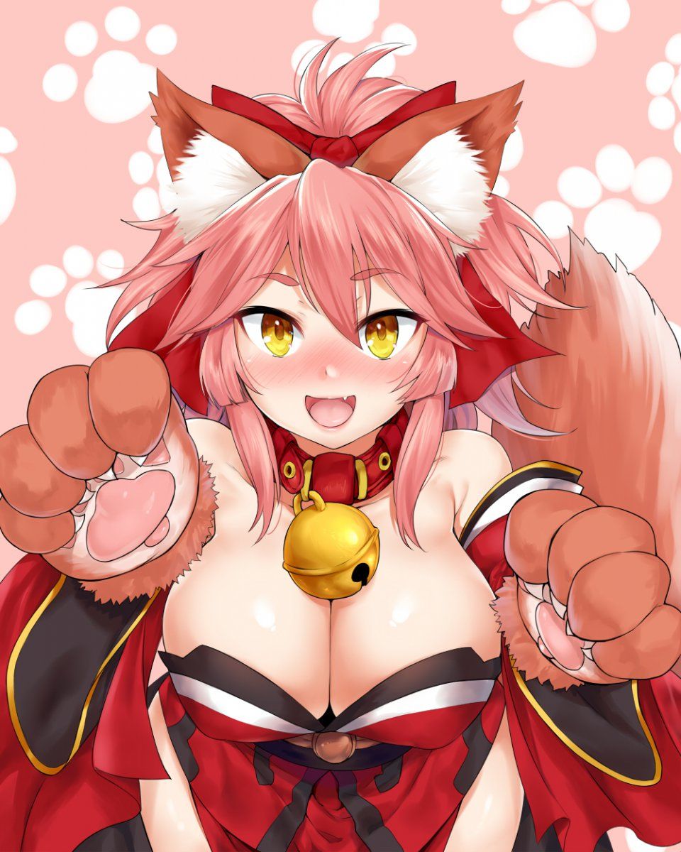 Tamamo no Cat - Photo #6