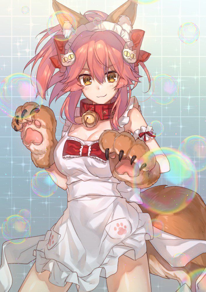 Tamamo no Cat - Photo #28