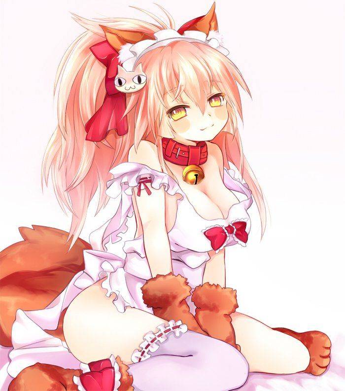 Tamamo no Cat - Photo #92