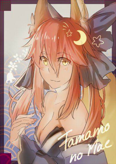 Tamamo no Cat - Photo #137