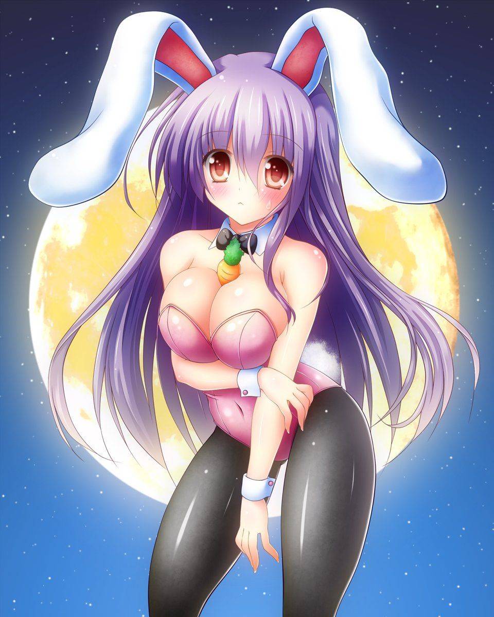 Reisen Udongein Inaba - Photo #38