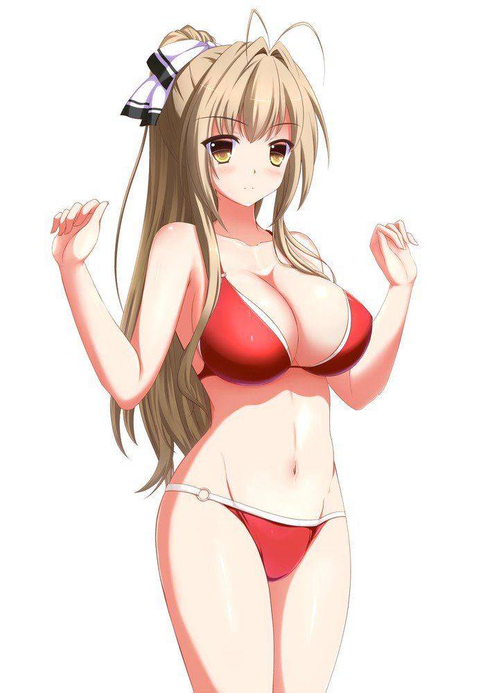 Amagi Brilliant Park - Photo #51