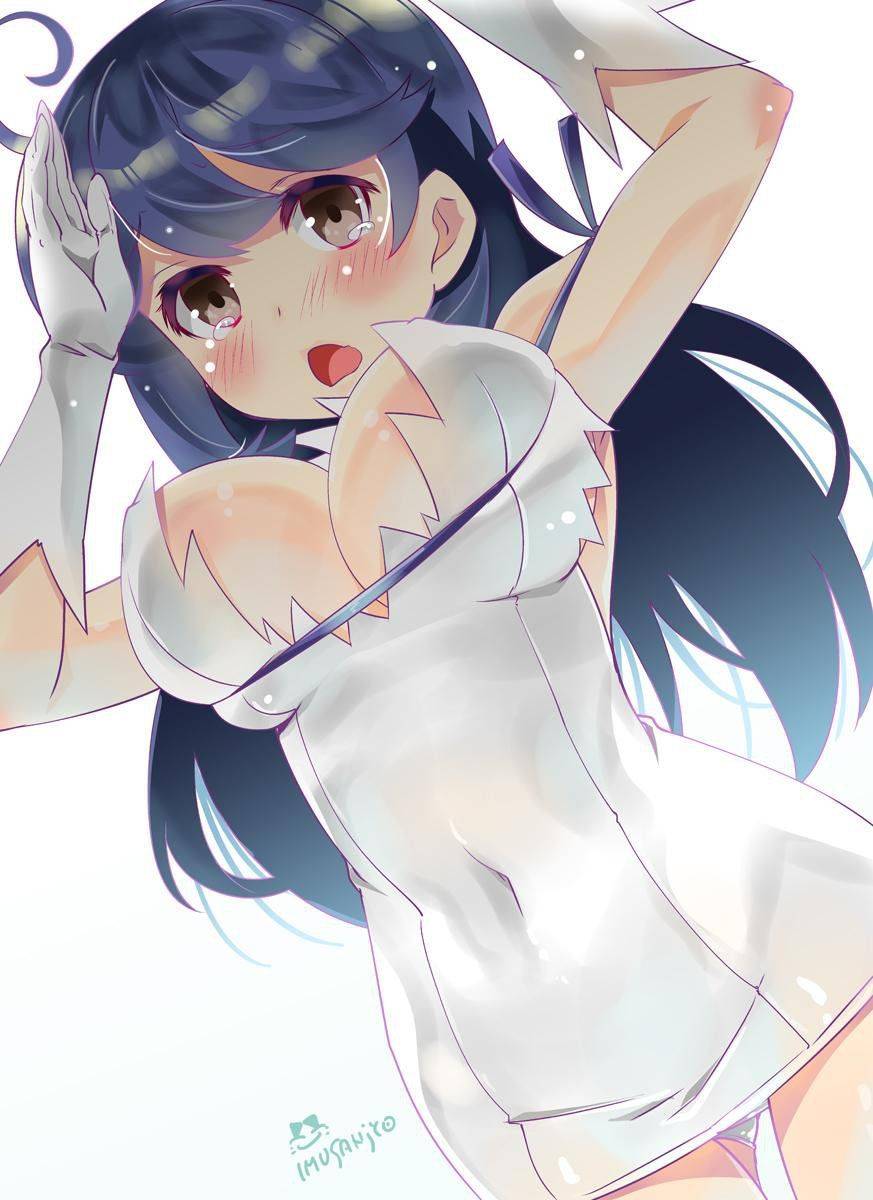 Hestia - Photo #539