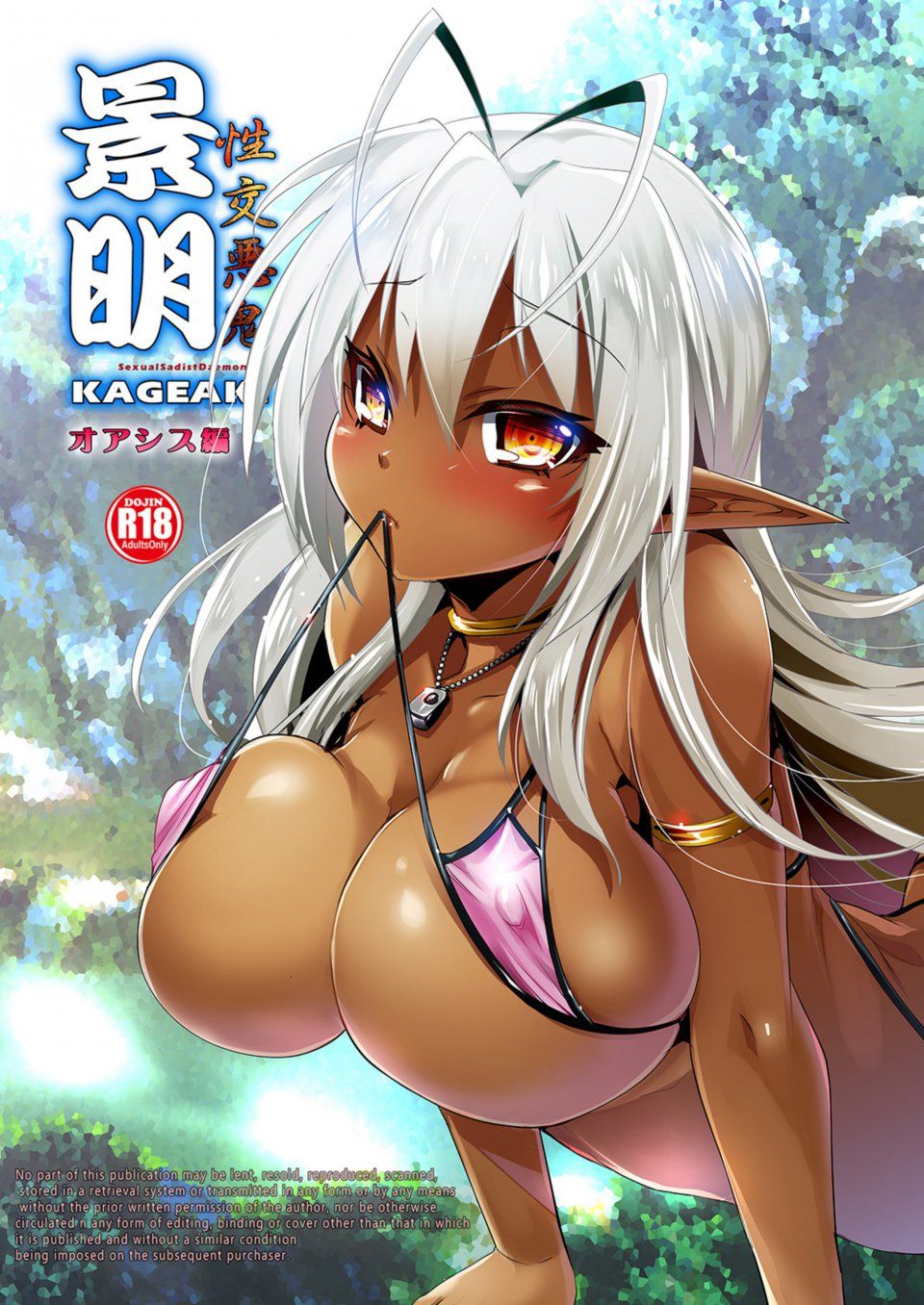 Kouki Kuu - Seikou Akki Kageaki Oasis Hen - Photo #1