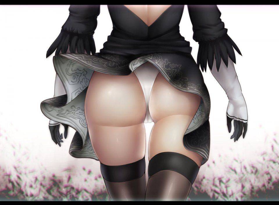 Collection - 2B - Photo #10