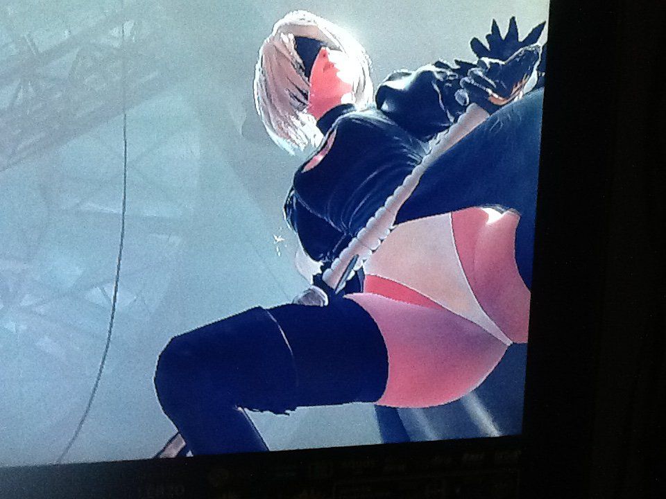 Collection - 2B - Photo #75