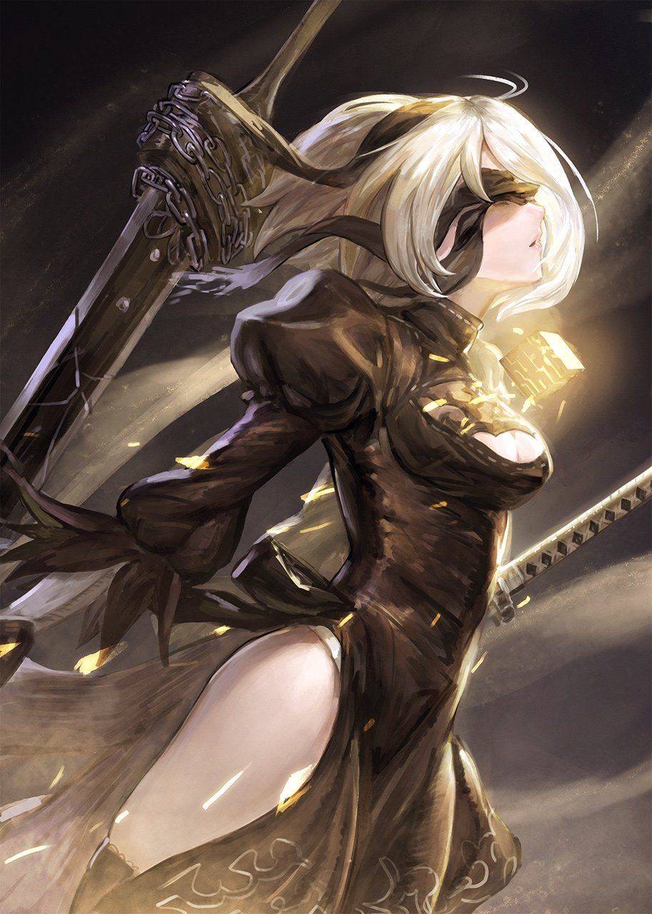 Collection - 2B - Photo #414