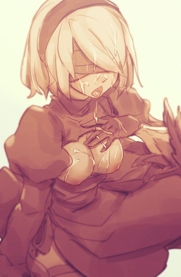 NieR- Automata 2B - Photo #35