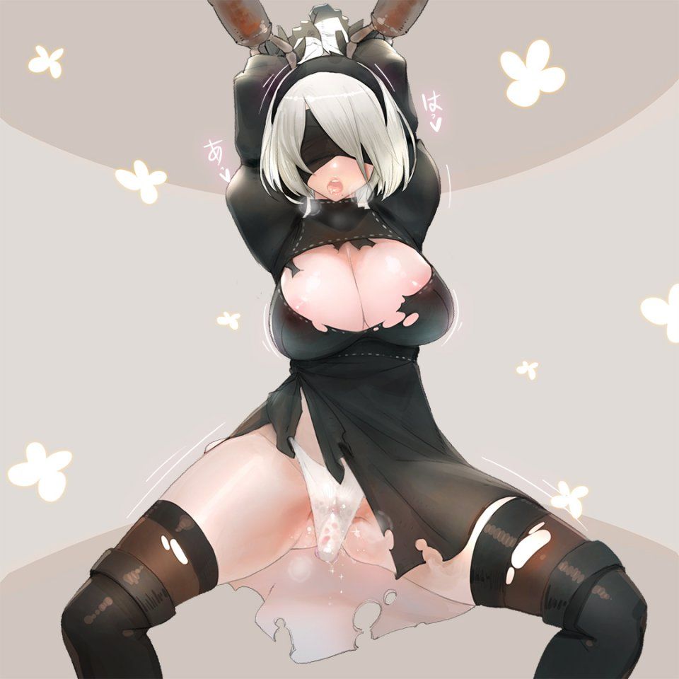 NieR- Automata 2B - Photo #84