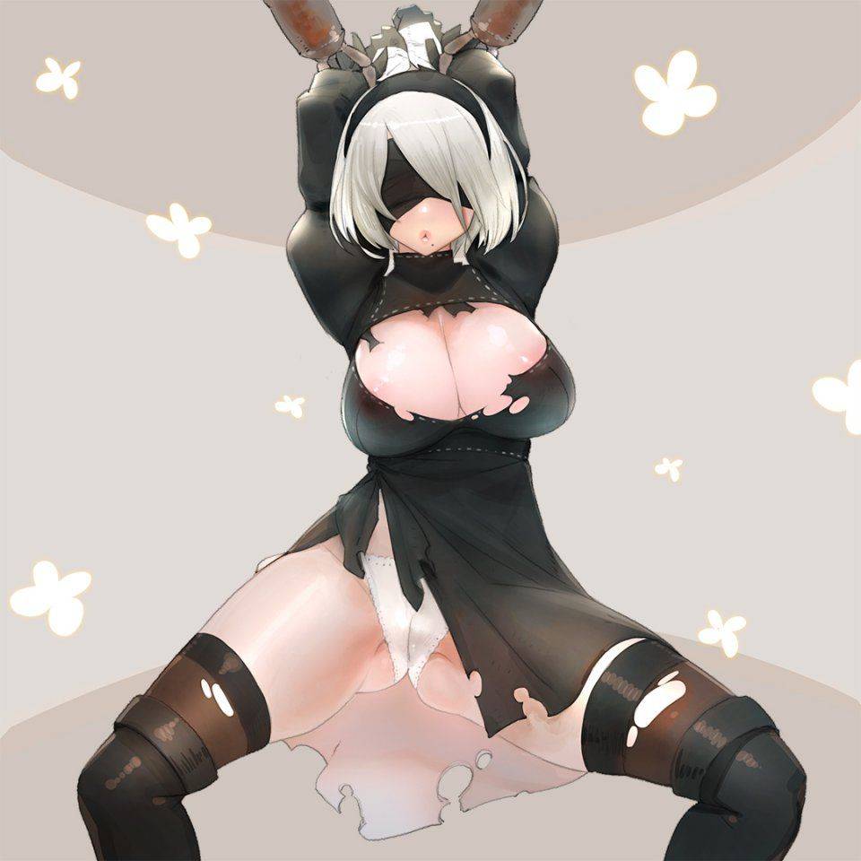 NieR- Automata 2B - Photo #152