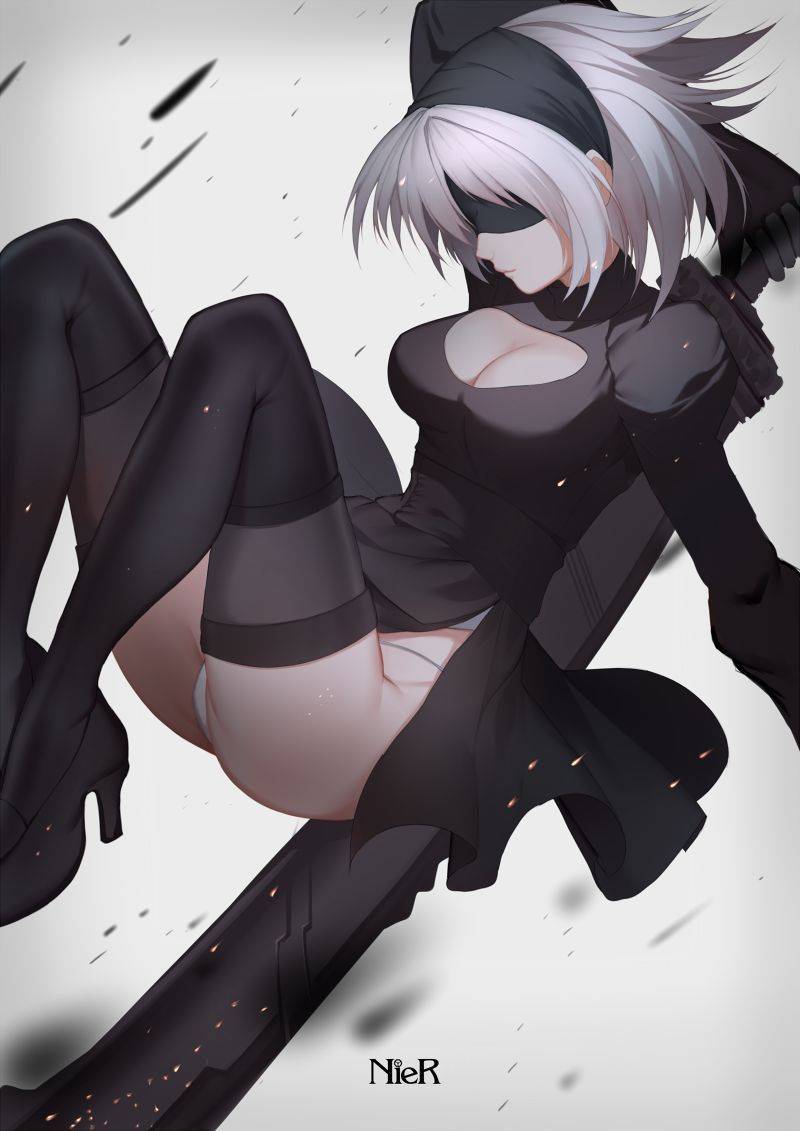 NieR- Automata 2B - Photo #165