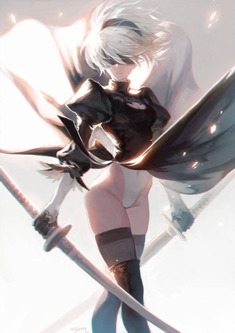 NieR- Automata 2B - Photo #834