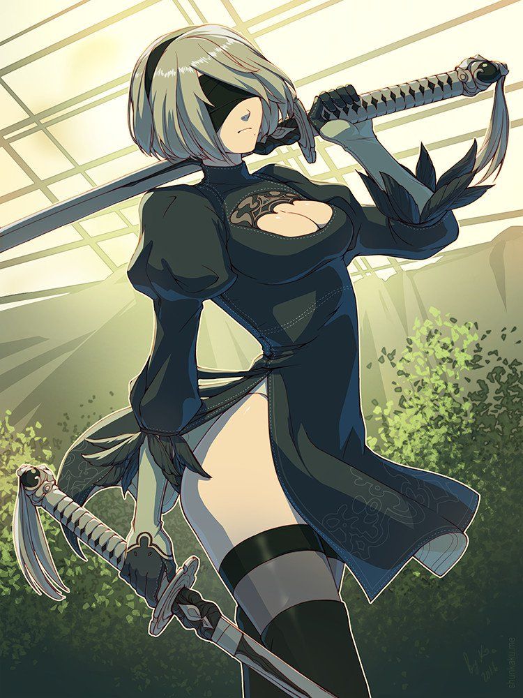 NieR- Automata 2B - Photo #859