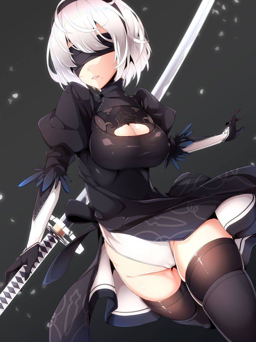 NieR- Automata 2B - Photo #955