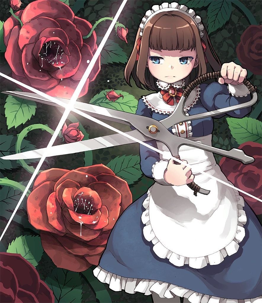 Shadowverse - Photo #139
