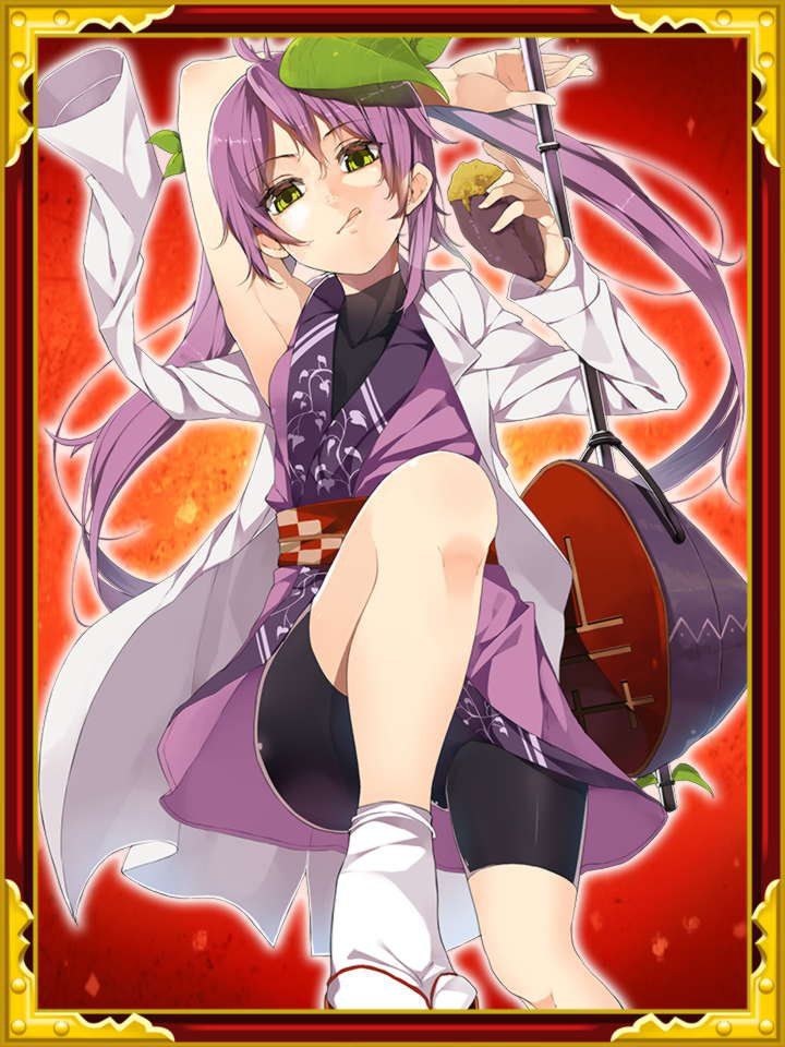 Sengoku Collection TCG - Photo #4