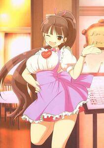 Senran Kagura Official Illustrations 2 - Photo #36