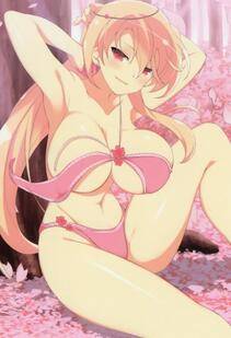 Senran Kagura Official Illustrations 4 - Photo #1