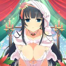 Senran Kagura Official Illustrations 4 - Photo #53