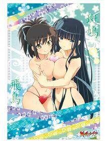 Senran Kagura Official Illustrations 3 - Photo #51