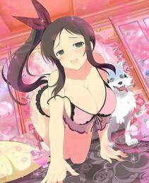 Senran Kagura Official Illustrations 3 - Photo #74