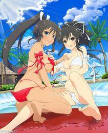 Senran Kagura Official Illustrations 3 - Photo #181