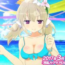 Senran Kagura Peach Beach Blast - Photo #14