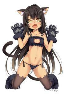 Cat Lingerie - Photo #14