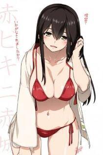 Collection 1 - Photo #112