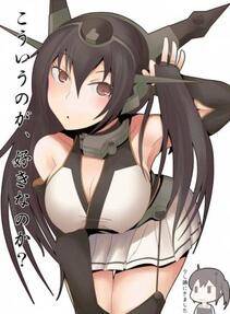 Collection 1 - Photo #268
