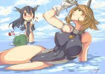 Collection 1 - Photo #443
