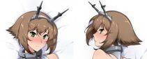 Collection 1 - Photo #446