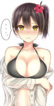 Misc. 2 - Photo #62