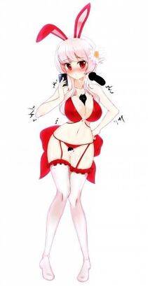 Misc. 2 - Photo #400