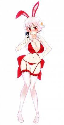 Misc. 2 - Photo #402