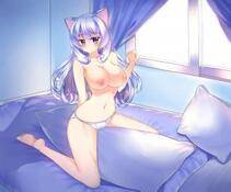 Misc. 2 - Photo #411
