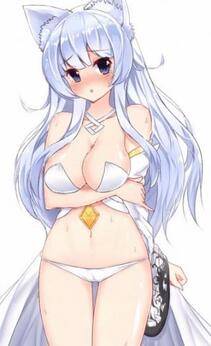 Misc. 2 - Photo #439