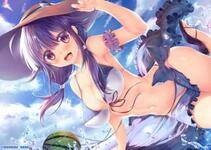 Misc. 3 - Photo #247