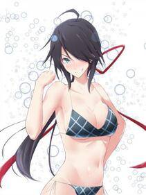 Misc. 4 - Photo #10